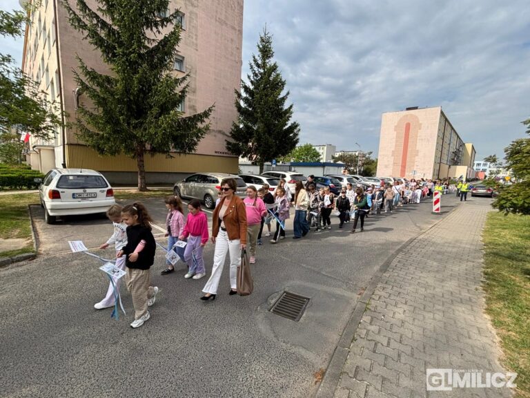 Rekordowe „Kroki do Godności” na ulicach Milicza