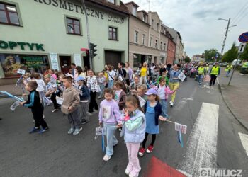 Rekordowe „Kroki do Godności” na ulicach Milicza