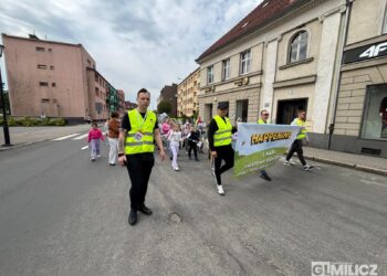 Rekordowe „Kroki do Godności” na ulicach Milicza