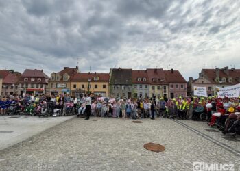 Rekordowe „Kroki do Godności” na ulicach Milicza