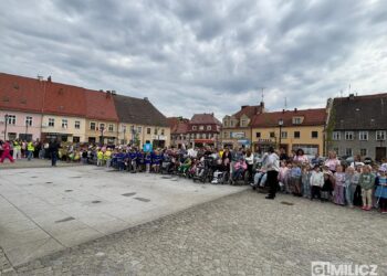 Rekordowe „Kroki do Godności” na ulicach Milicza
