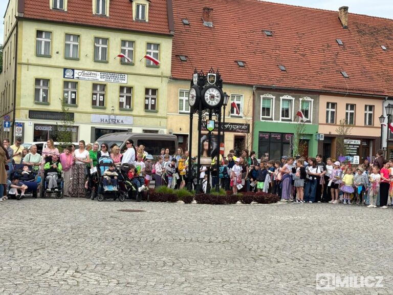 Rekordowe „Kroki do Godności” na ulicach Milicza