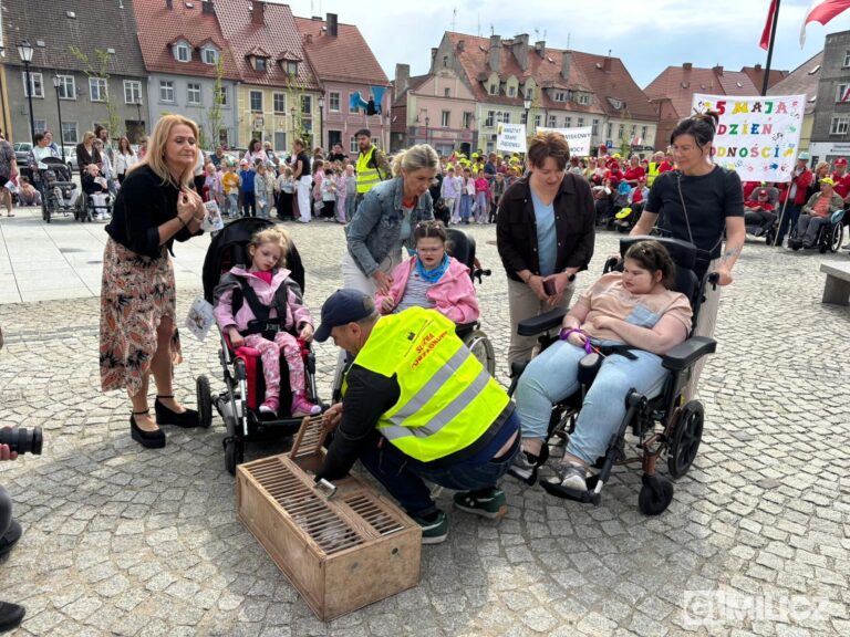 Rekordowe „Kroki do Godności” na ulicach Milicza