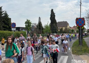 Rekordowe „Kroki do Godności” na ulicach Milicza