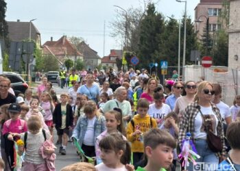 Rekordowe „Kroki do Godności” na ulicach Milicza