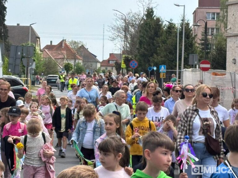 Rekordowe „Kroki do Godności” na ulicach Milicza