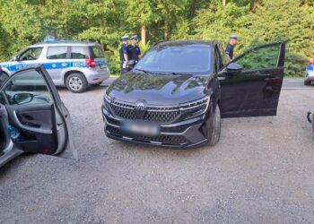 Renault skradzione we Francji zatrzymane pod Miliczem
