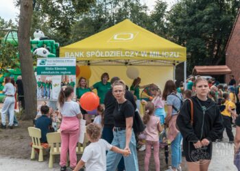 Dziecięca zabawa w parku przy Chatce Puchatka