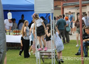 Rodzinnie i na sportowo. Festyn w Lutogniewie przyciągnął tłumy mieszkańców