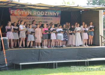 Rodzinnie i na sportowo. Festyn w Lutogniewie przyciągnął tłumy mieszkańców