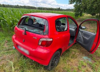 30-latek aresztowany po strzałach z broni pneumatycznej. Policja znalazła ponad 2,4 kg narkotyków