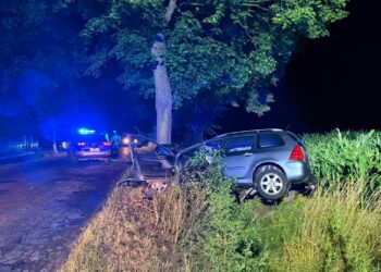 Nocny wypadek pod Koźminem Wielkopolskim. 23-latek uderzył autem w drzewo