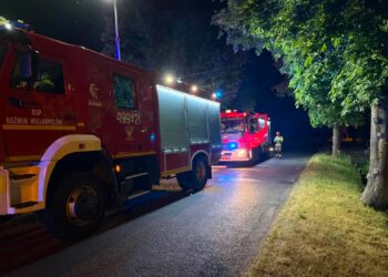 Nocny wypadek pod Koźminem Wielkopolskim. 23-latek uderzył autem w drzewo