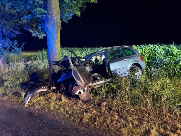 Nocny wypadek pod Koźminem Wielkopolskim. 23-latek uderzył autem w drzewo Nocny wypadek pod Koźminem Wielkopolskim. 23-latek uderzył autem w drzewo
