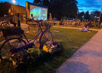 Film pod gwiazdami nad Milickim Zalewem