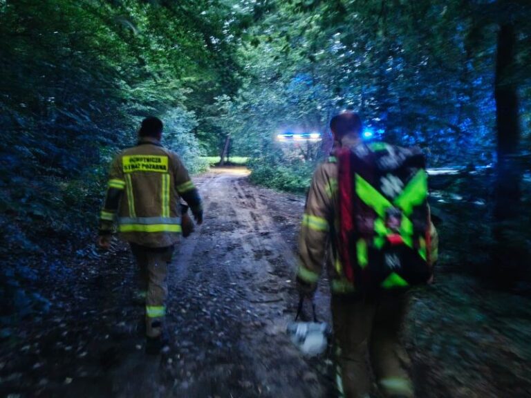 Nocne poszukiwania 86-latki zakończone szczęśliwie