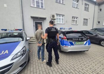Awantura o garnek zupy zakończyła się… aresztem