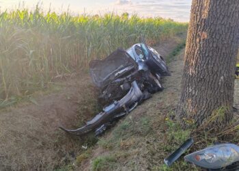 70-latek stracił panowanie nad autem. Volkswagen wpadł do rowu 70-latek stracił panowanie nad autem. Volkswagen wpadł do rowu