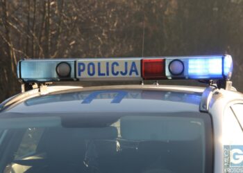 Policja nie zwalnia tempa. Cztery osoby zatrzymane podczas akcji kryminalnych Policja nie zwalnia tempa. Cztery osoby zatrzymane podczas akcji kryminalnych