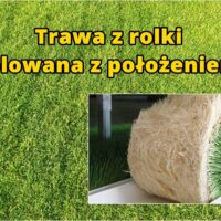 Trawa z rolki, rolowana z położeniem